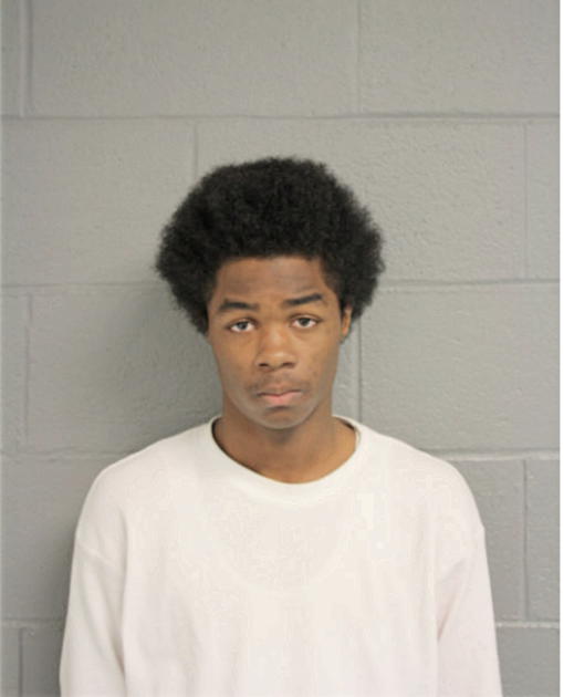 TYRONE J JOHNSON, Cook County, Illinois