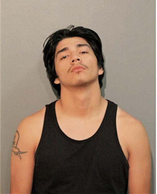 JONATHAN C LOEZA, Cook County, Illinois
