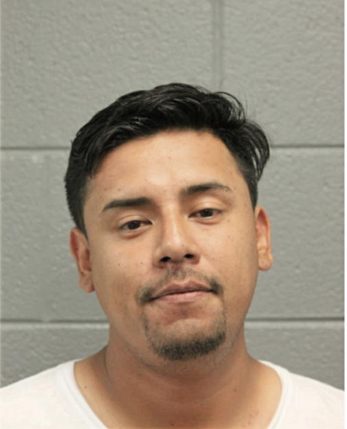 HECTOR M MORENO, Cook County, Illinois