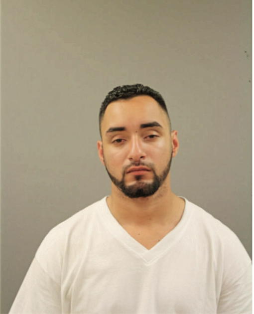 JAIME J NAVARRO, Cook County, Illinois