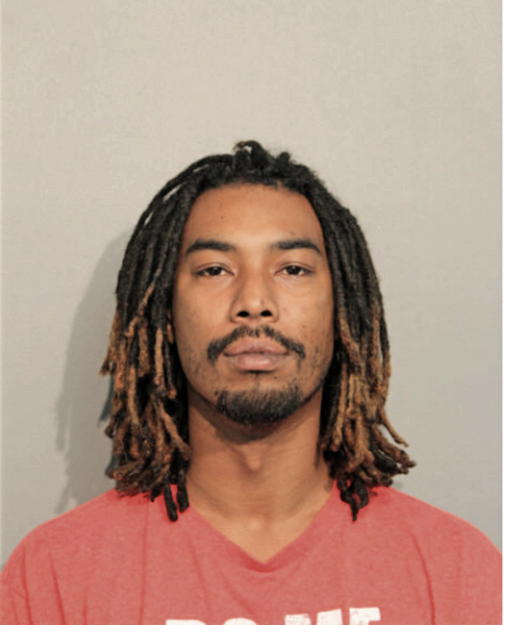 DEWANDIS T NIXON, Cook County, Illinois