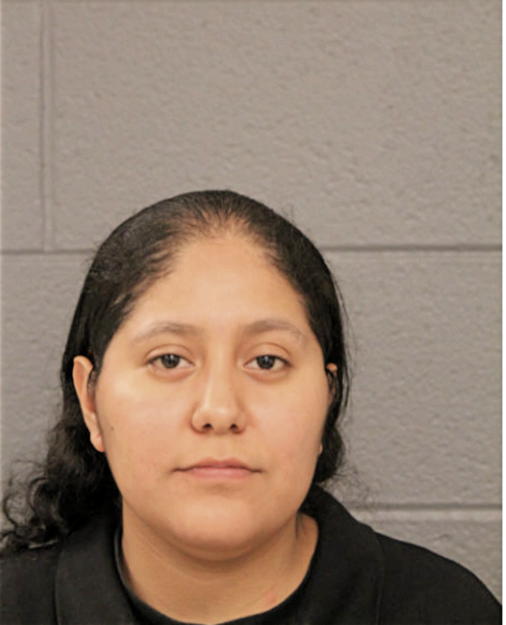 CHRISTIE ORTIZ, Cook County, Illinois