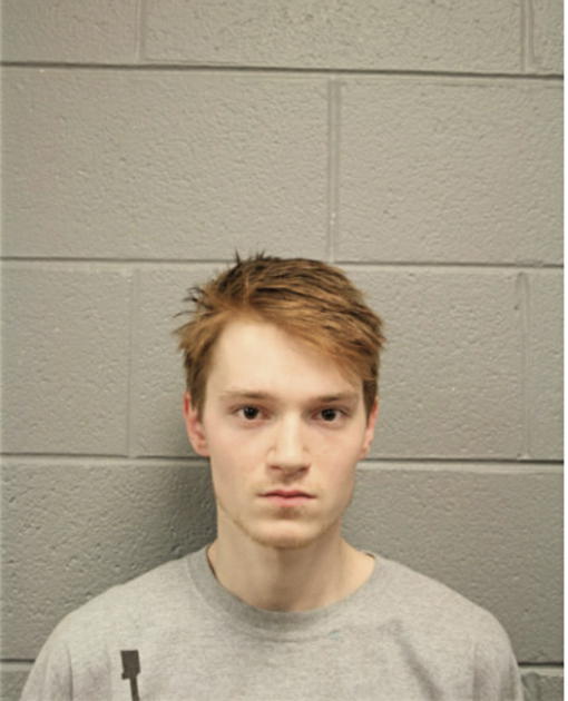 NATHAN J PANASKY, Cook County, Illinois