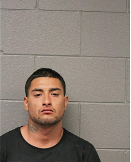 GUILLERMO PEREZ, Cook County, Illinois