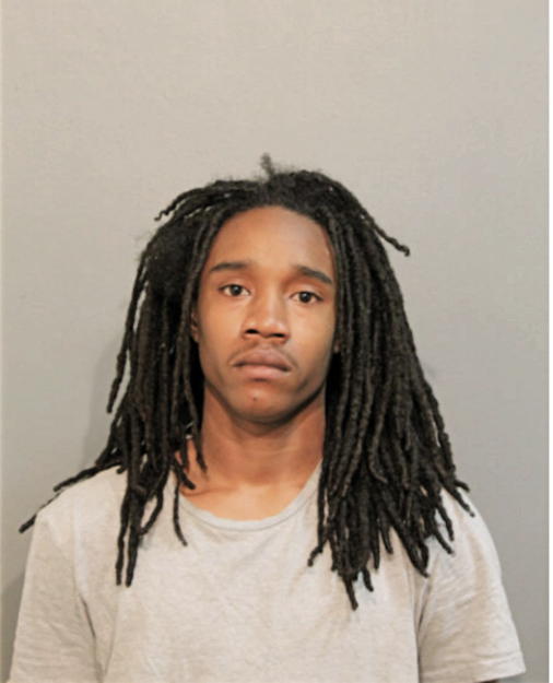 DESHAWN M REED, Cook County, Illinois