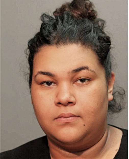 NORENE M ROCHA, Cook County, Illinois