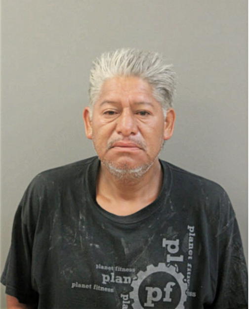 RAFAEL R RODRIGUEZ, Cook County, Illinois