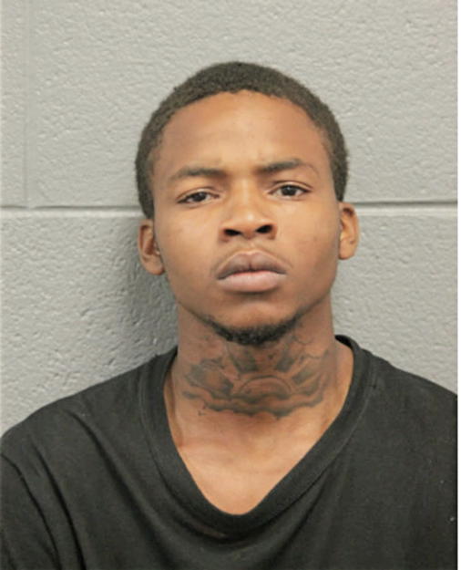 ERIK L SPANN, Cook County, Illinois