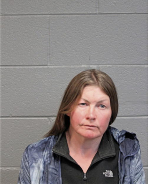 KIMBERELY K YOUNG, Cook County, Illinois