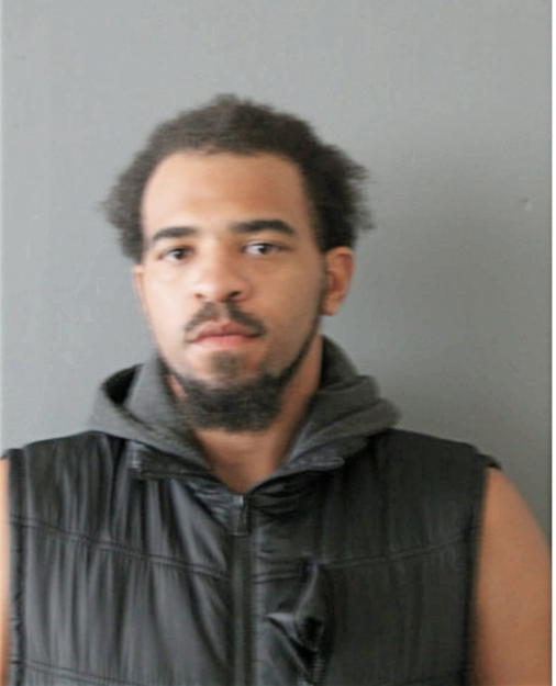 LEVIASSE ANDERSON, Cook County, Illinois