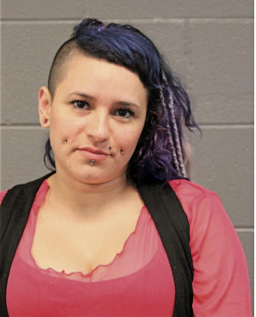CYNTHIA CASTILLO, Cook County, Illinois