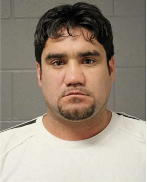 JOSE A CASTRO, Cook County, Illinois