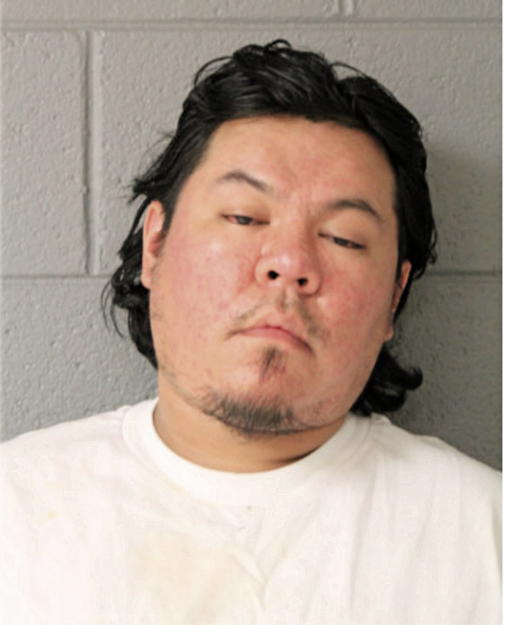 AUDIEL FLORES, Cook County, Illinois