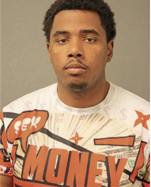 JOHN W HAMPTON, Cook County, Illinois