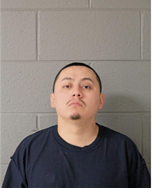 JOSE I FLORES, Cook County, Illinois