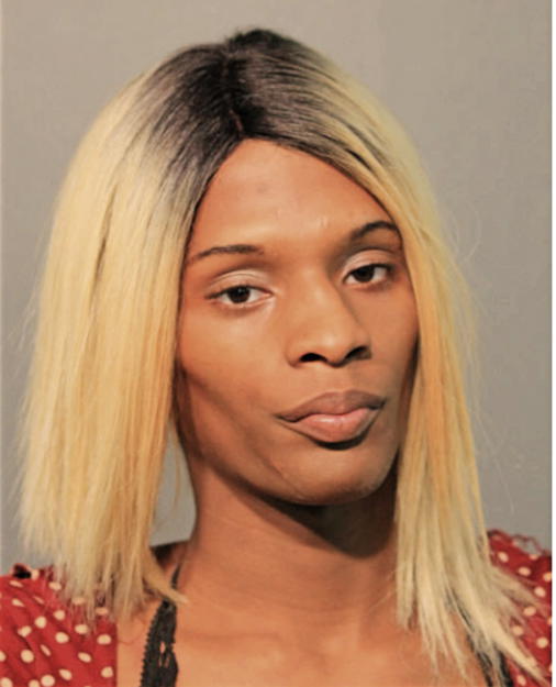 KAYLUN D JENKINS, Cook County, Illinois