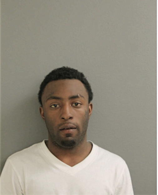 IVAN JOHNSON, Cook County, Illinois