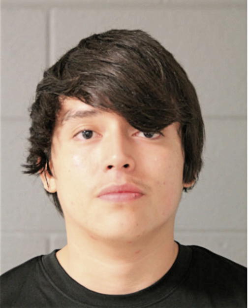 GIOVANNI MARES, Cook County, Illinois