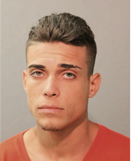 JESUS J MENDEZ-SANCHEZ, Cook County, Illinois