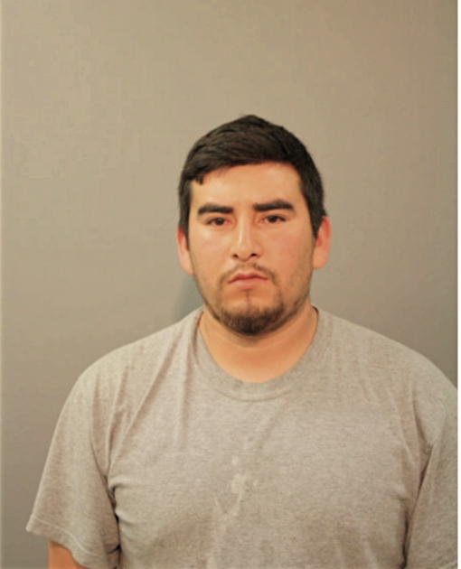 JERONIMO MENDIOLA-GUIJOSA, Cook County, Illinois