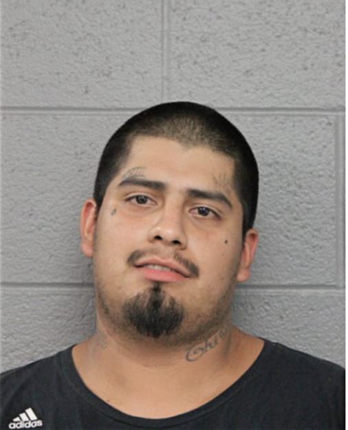 DOMINGO MENDOZA, Cook County, Illinois