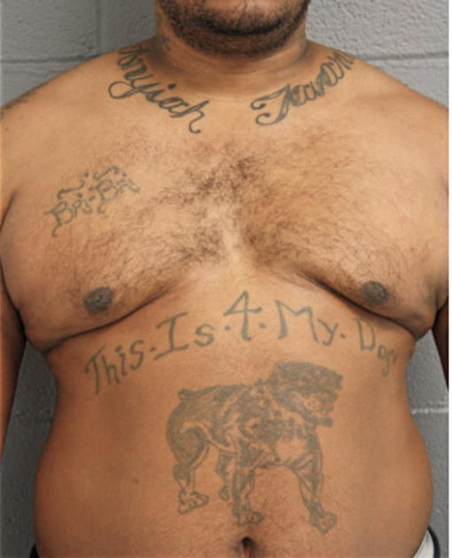 HARVEY MONTGOMERY, Cook County, Illinois