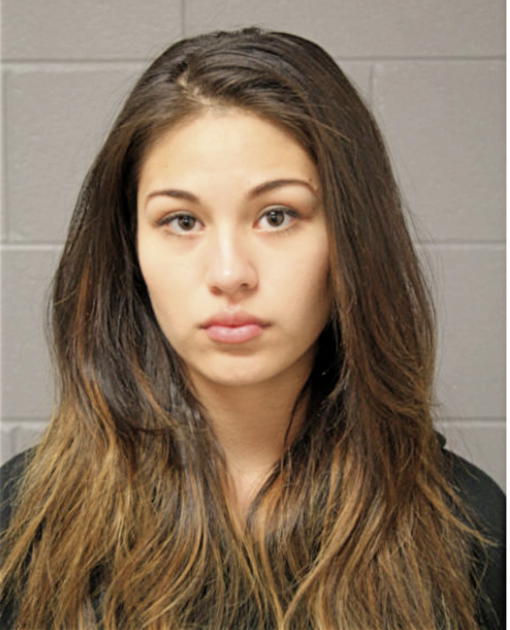 DESTINY R MORALES, Cook County, Illinois