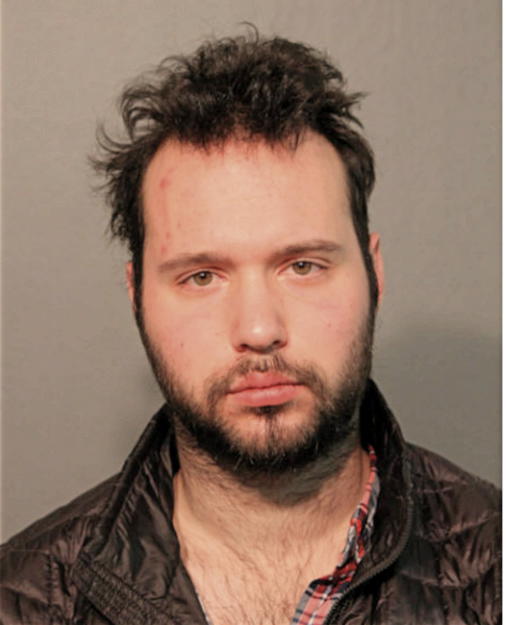 JOSEPH PELLICCIONI, Cook County, Illinois