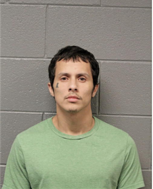 DAVID R RAMOS, Cook County, Illinois