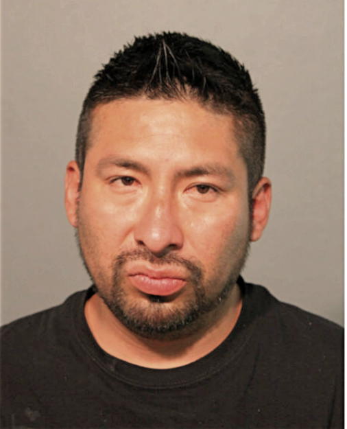 FREDDIE A REYES, Cook County, Illinois
