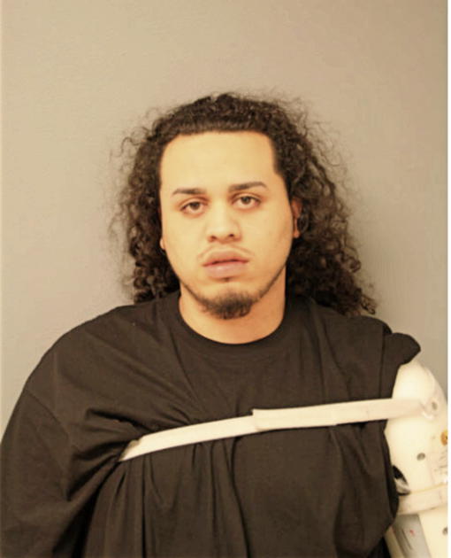 JOHNSIE B RODRIGUEZ, Cook County, Illinois