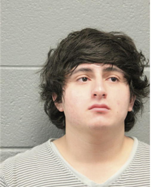 GUILLERMO J SANCHEZ, Cook County, Illinois