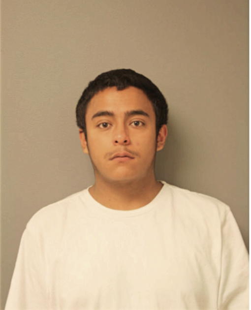 LUIS E SILICEO, Cook County, Illinois