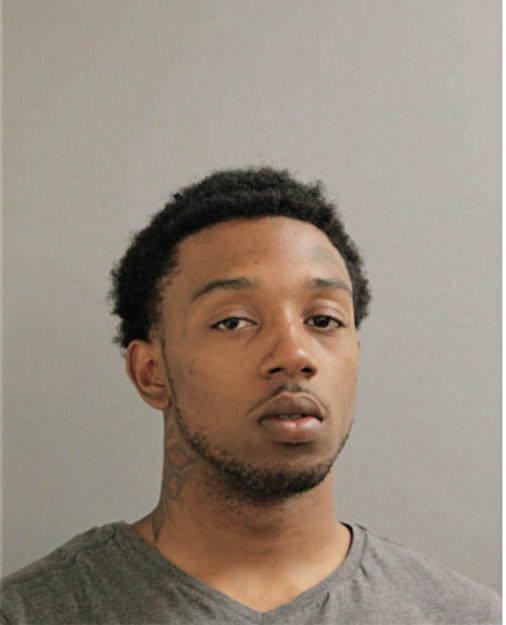 KEVIN S TERRY, Cook County, Illinois
