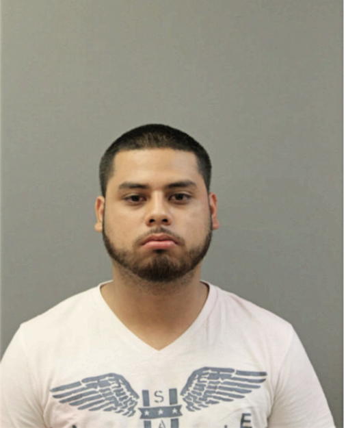 RICARDO BAHENA, Cook County, Illinois