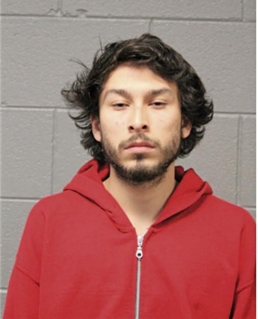 BRANDON J BARRON, Cook County, Illinois