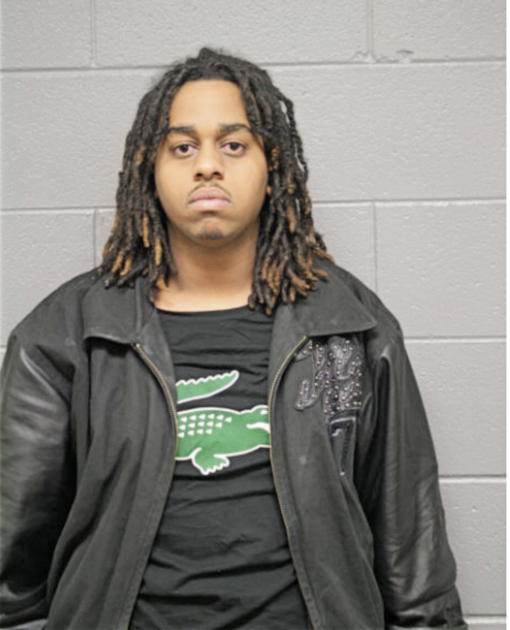 ALULA T BERHE, Cook County, Illinois