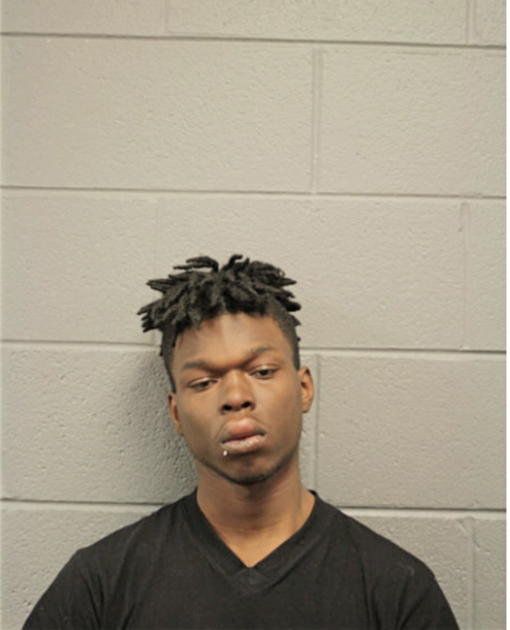 LARRY M CHAMBERS, Cook County, Illinois