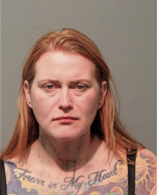 AMANDA R DAHLSTROM, Cook County, Illinois
