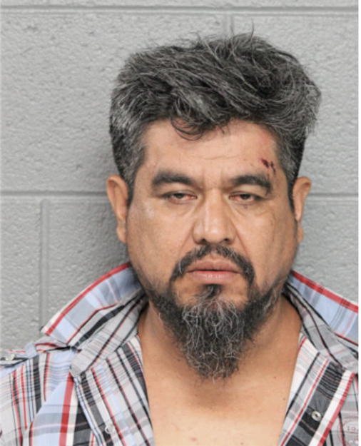 EUSEBIO GARCIA-PONCE, Cook County, Illinois