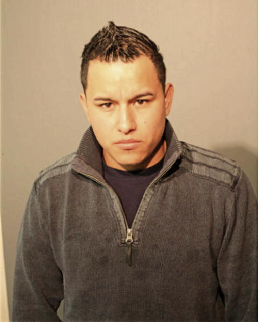 ESTEBAN GONZALEZ-MARTINEZ, Cook County, Illinois