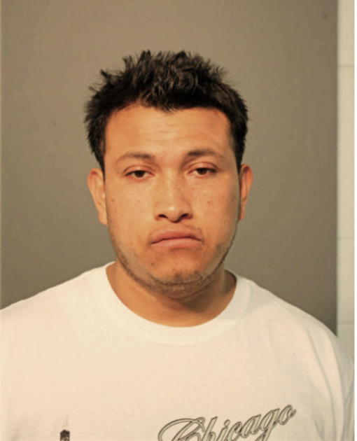 LEOVARDO GUZMAN, Cook County, Illinois