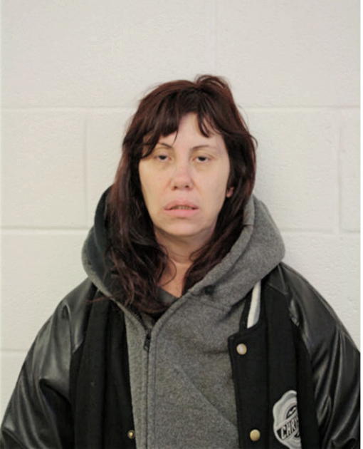 SHERRY S HAYES, Cook County, Illinois