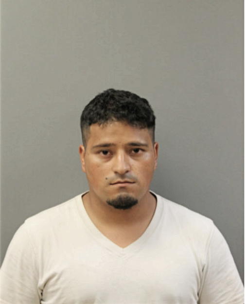 GABRIEL HERRERA-URBINA, Cook County, Illinois
