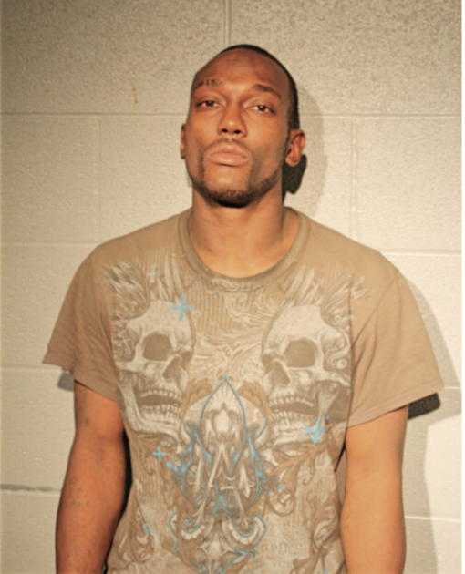 ROBERT L JOHNSON, Cook County, Illinois