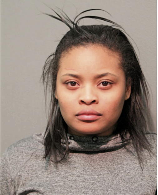 BONNIE S LENOIR, Cook County, Illinois