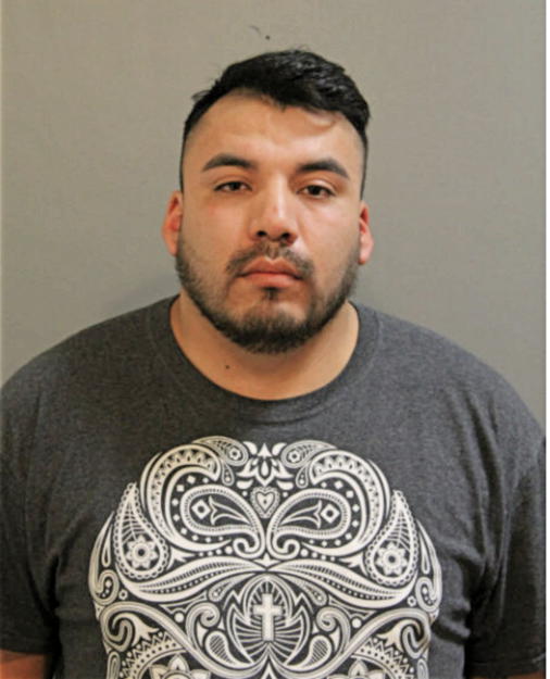 JUAN E MARES-VARGAS, Cook County, Illinois