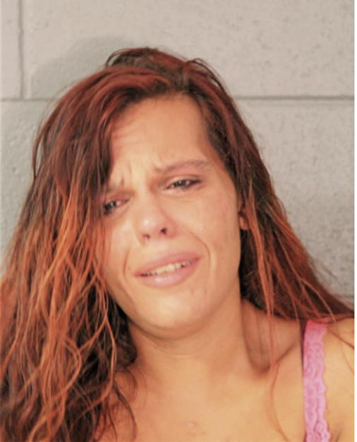 ERICA A ROSALES, Cook County, Illinois
