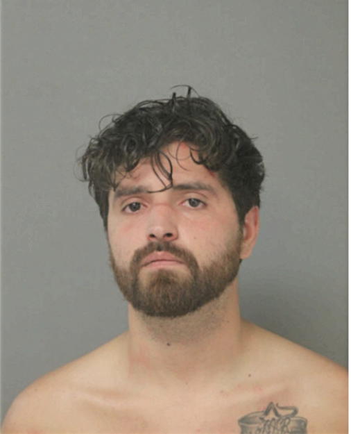 NICHOLAS A RUIZ, Cook County, Illinois