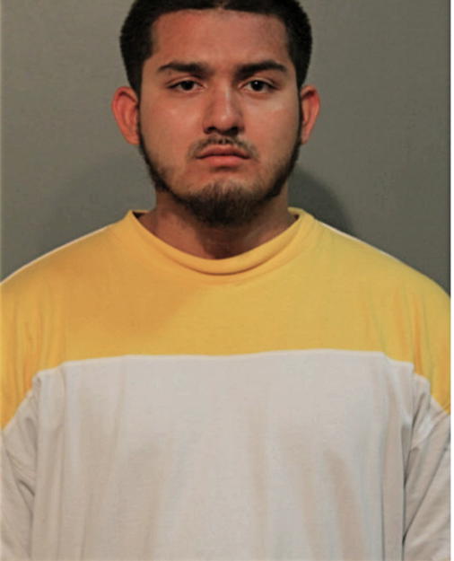 ERIK SANDOVAL, Cook County, Illinois